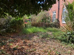Professional Garden Clearance in West Wickham
