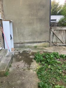 Garden waste and overgrown vegetation requiring clearance at Penge property