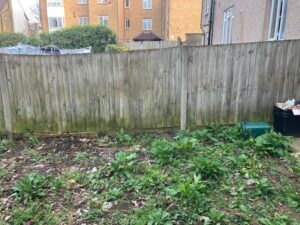 Overgrown garden area with wooden fence requiring clearance in Penge