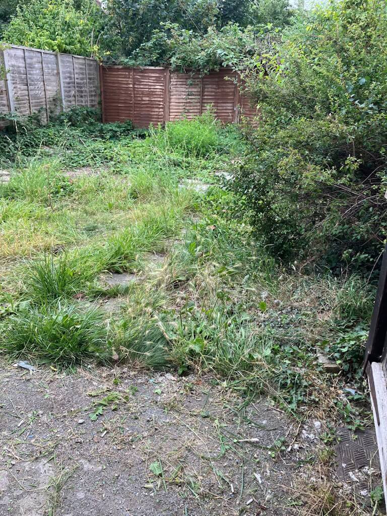 Garden clearance Bromley work in progress showing partially cleared residential garden area