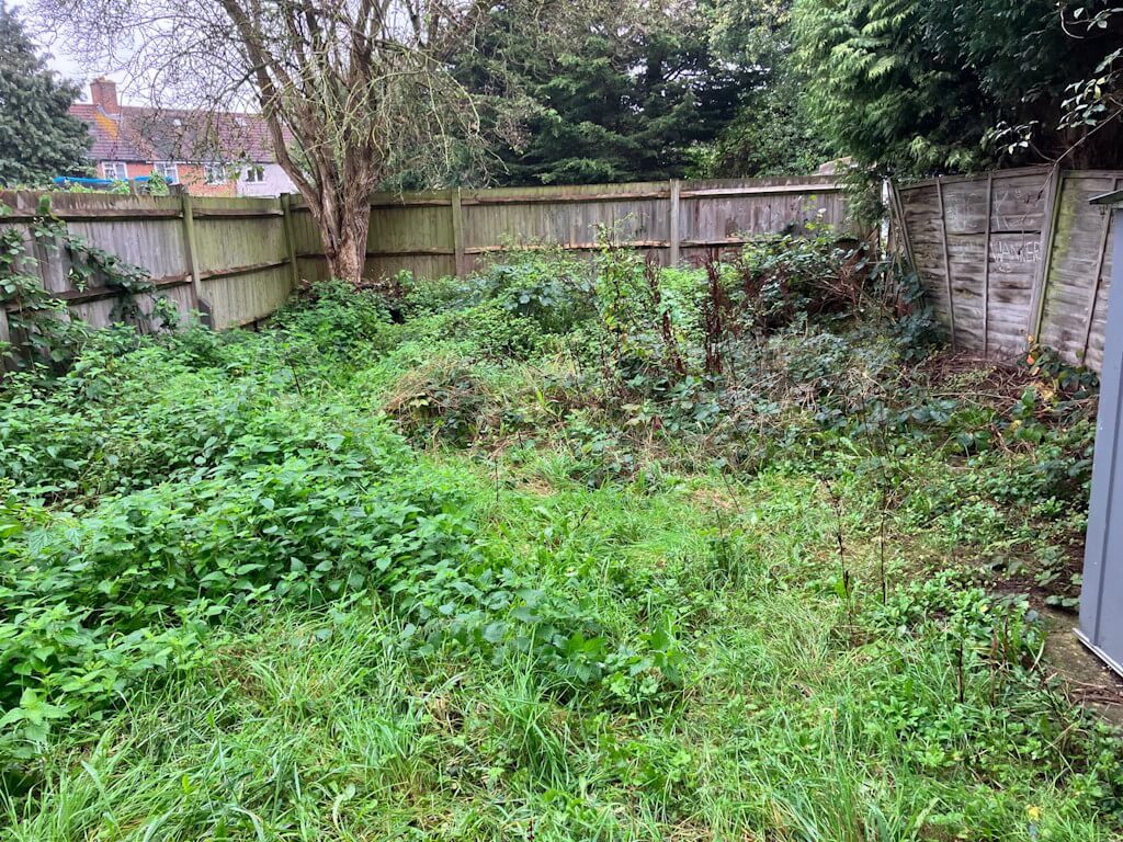 Overgrown Garden Clearance Bromley - Before Professional Service