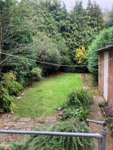 Garden clearance Bromley residential backyard with overgrown vegetation requiring professional clearance