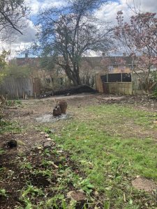 Garden clearance Bromley completed project showing cleared soil and tree after professional waste removal service