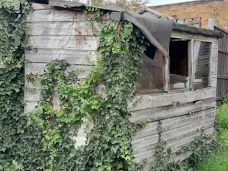 Garden shed removal DA13 Kent wooden building demolition service