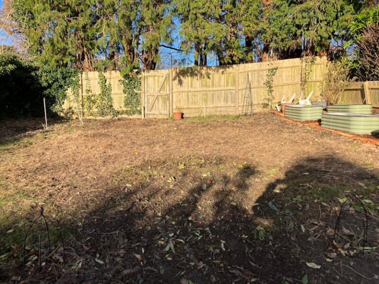 Cleared garden area with exposed brown soil after vegetation removal ready for landscaping in Pembury residential property