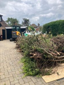 Green Waste Disposal Hildenborough TN11 (1)